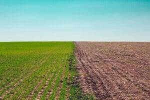 Optimal Cover Crop Planting